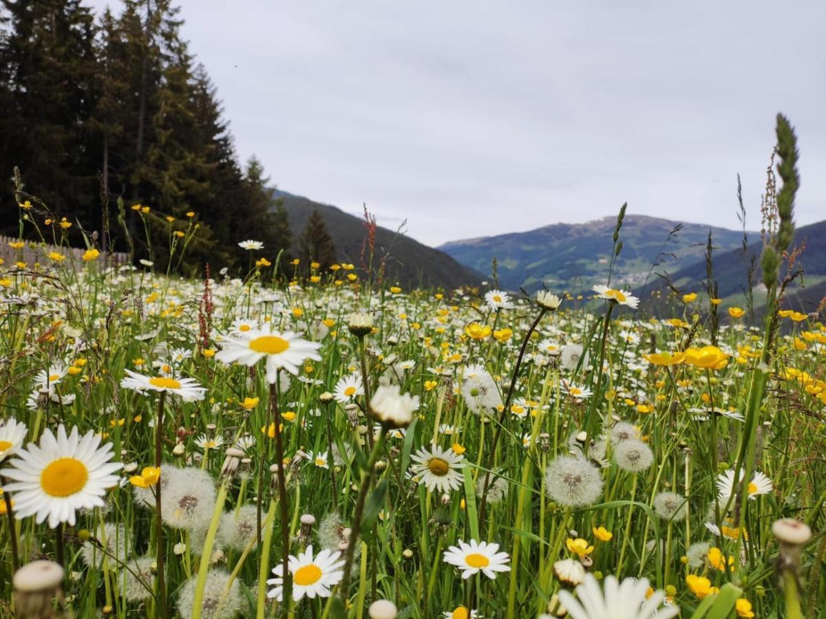Oeberst-Hof Lägenhet Sarentino Exteriör bild